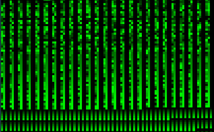 Segment 1