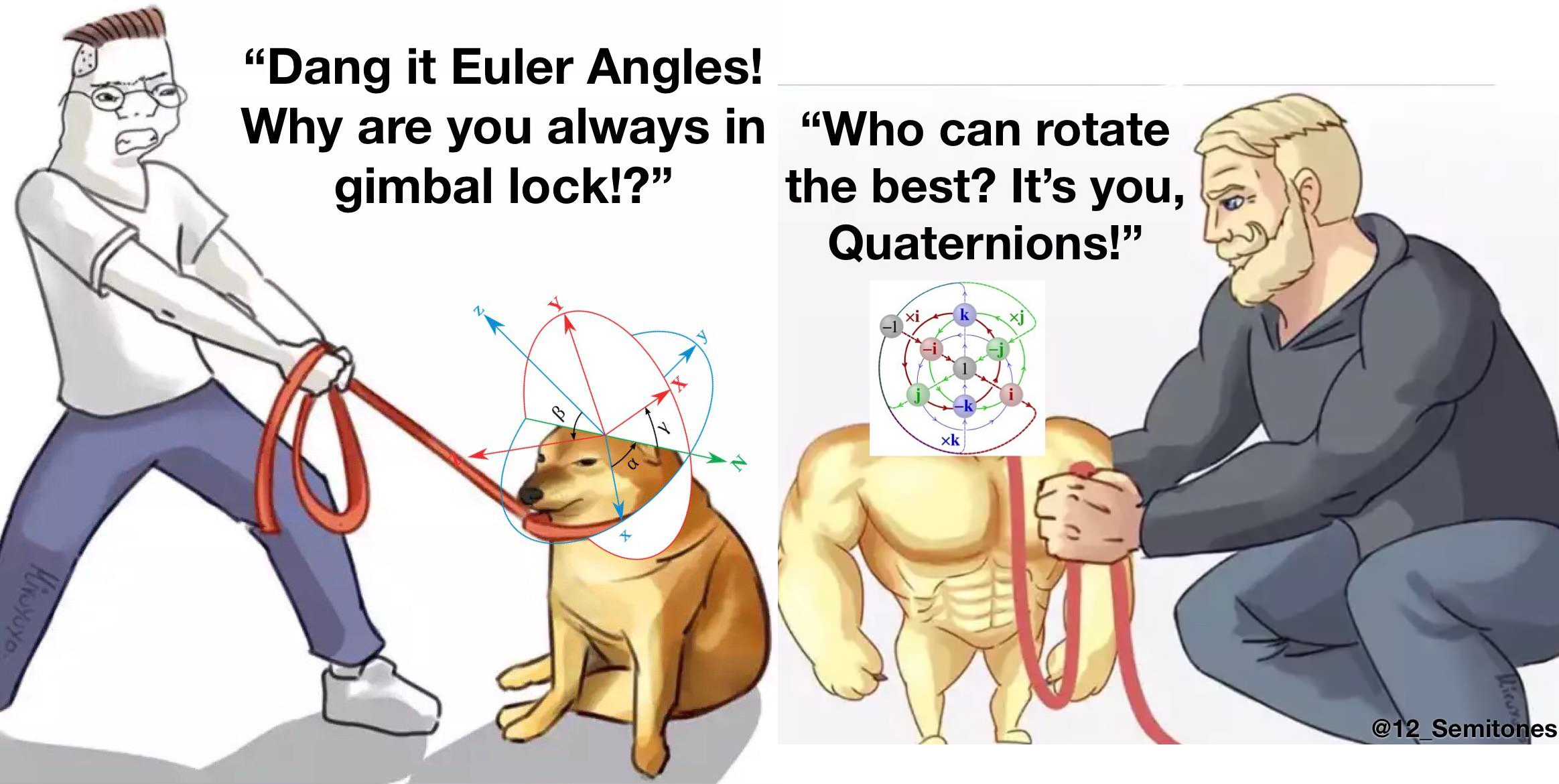 Quaternion Meme
