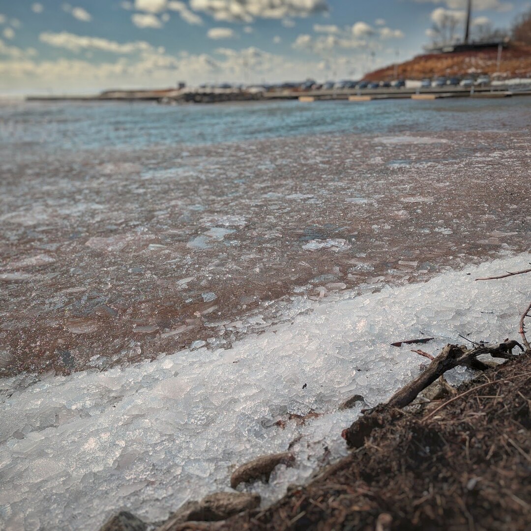 Icy Shore